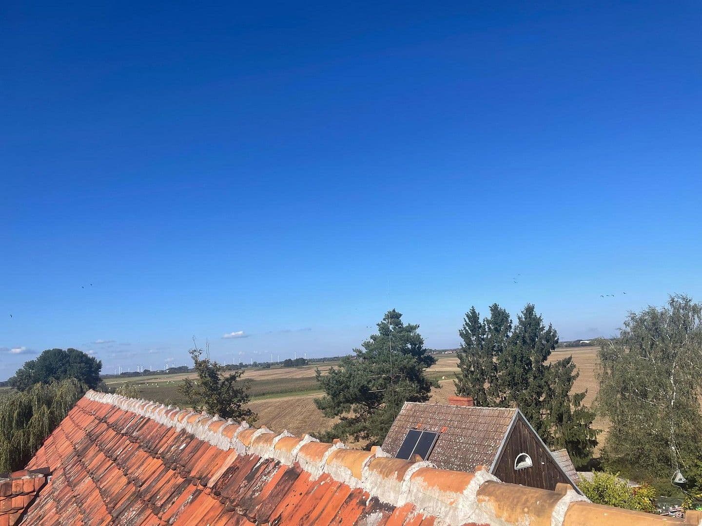 Predaj domu 800 m², pozemek 1.500 m², Neuhardenberg, Brandenbursko Predaj domu 800 m², pozemek 1.500 m², Neuhardenberg, Brandenbursko