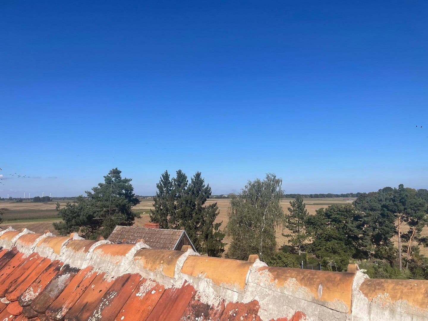 Predaj domu 800 m², pozemek 1.500 m², Neuhardenberg, Brandenbursko Predaj domu 800 m², pozemek 1.500 m², Neuhardenberg, Brandenbursko