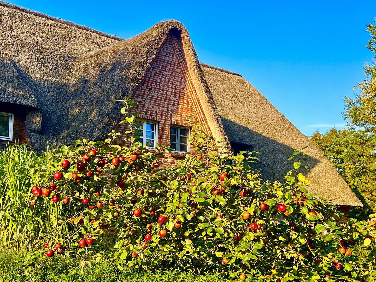 Predaj domu 105 m², pozemek 400 m², Bövergeest 28, Sankt Peter-Ording, Šlezvicko-Holštajnsko Predaj domu 105 m², pozemek 400 m², Bövergeest 28, Sankt Peter-Ording, Šlezvicko-Holštajnsko