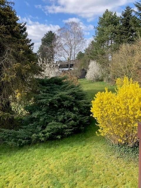 Predaj domu 216 m², pozemek 1.741 m², Babenhausen, Hesensko Predaj domu 216 m², pozemek 1.741 m², Babenhausen, Hesensko