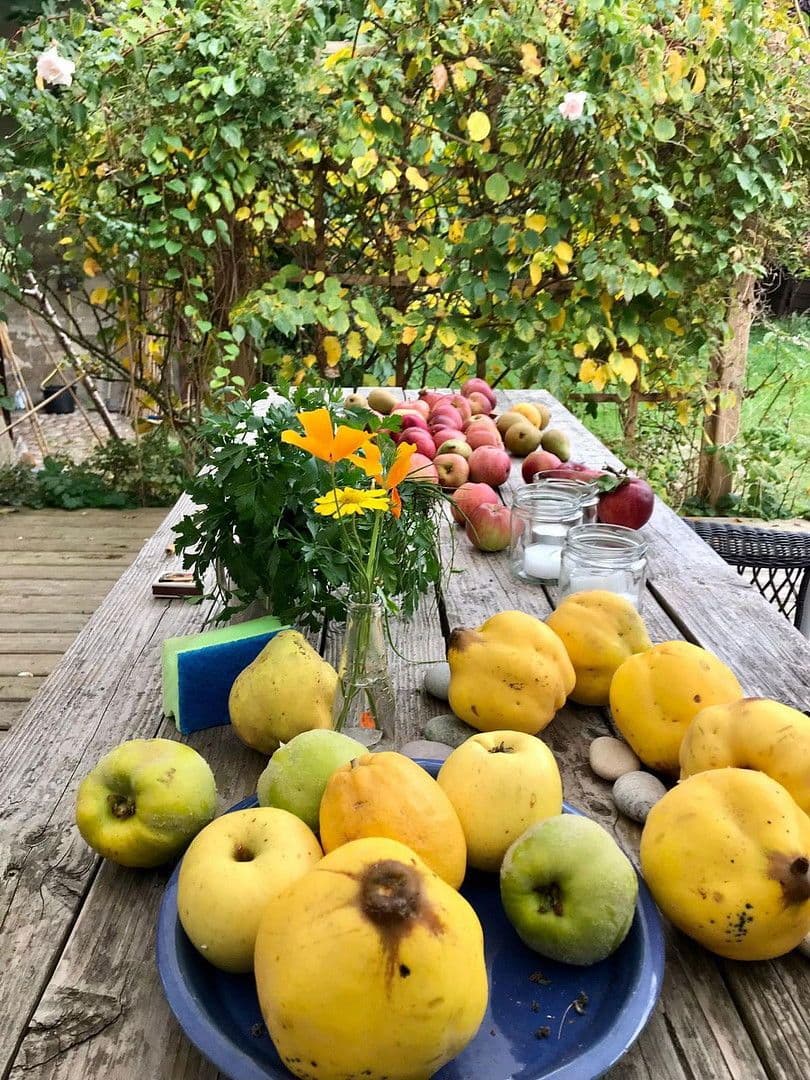 Predaj domu 450 m², pozemek 5.530 m², Grabow, Meklenbursko-Predpomoransko Predaj domu 450 m², pozemek 5.530 m², Grabow, Meklenbursko-Predpomoransko