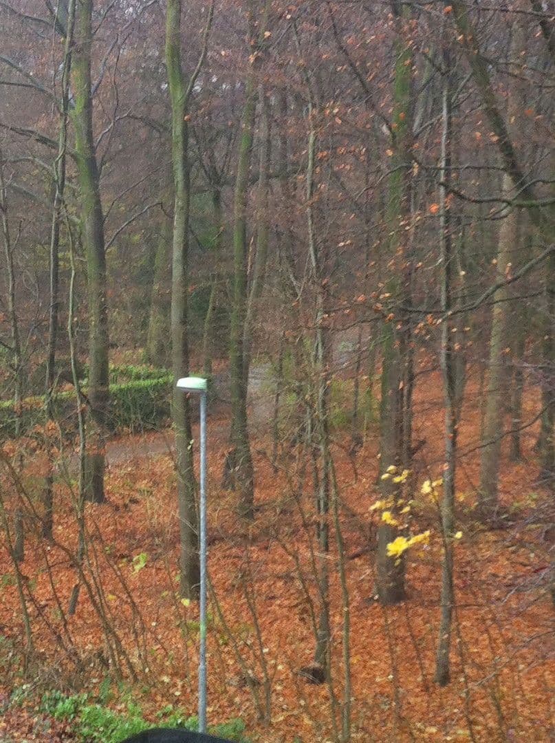 Prenájom bytu 3-izbový 90 m², Essen, Severné Porýnie - Westfálsko Prenájom bytu 3-izbový 90 m², Essen, Severné Porýnie - Westfálsko