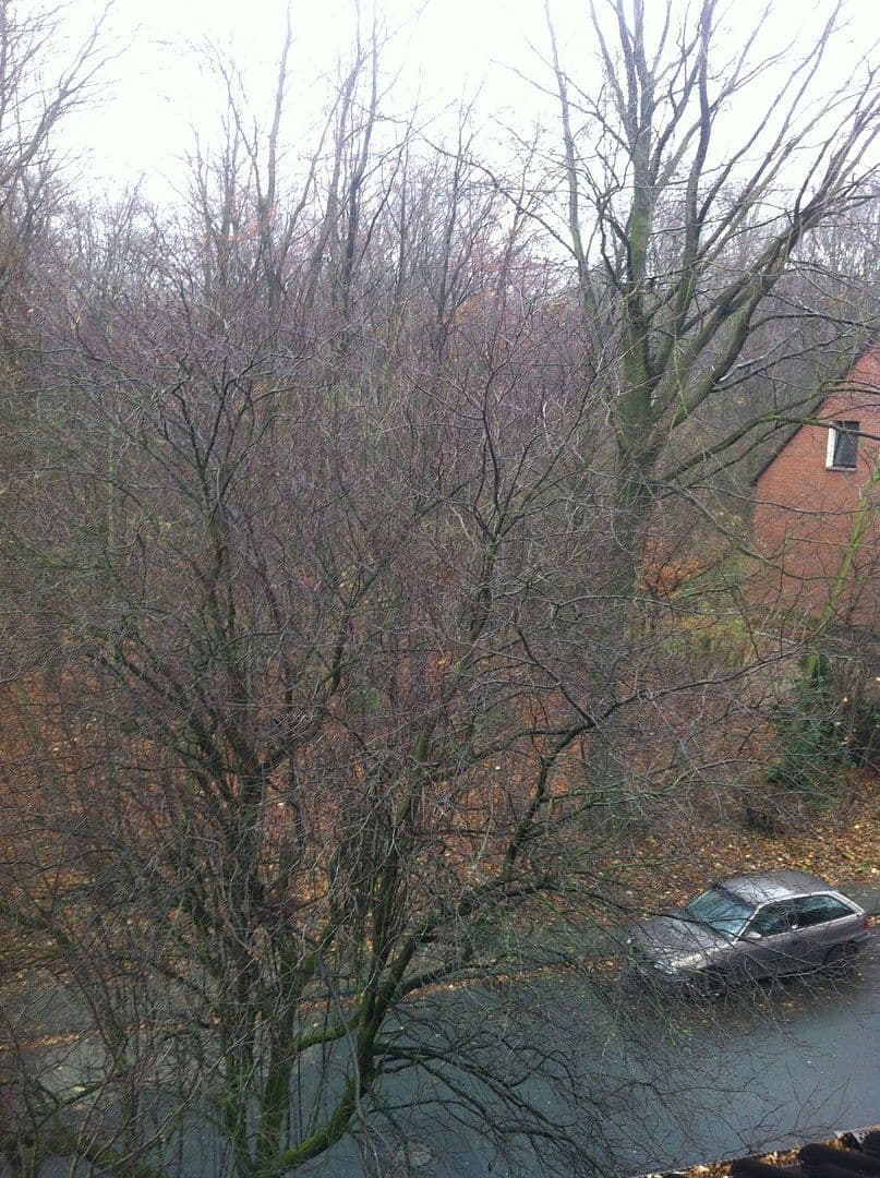 Prenájom bytu 3-izbový 90 m², Essen, Severné Porýnie - Westfálsko Prenájom bytu 3-izbový 90 m², Essen, Severné Porýnie - Westfálsko