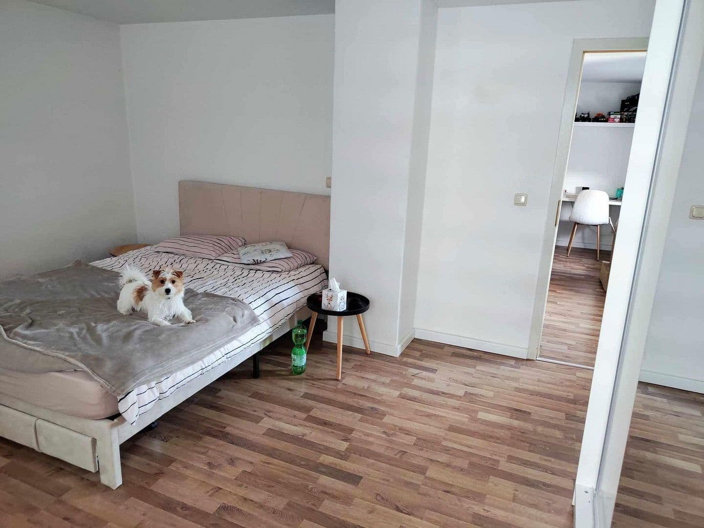 Prenájom bytu 2-izbový 58 m², Joliot-Curie-Str. 10, Gera, Durínsko Prenájom bytu 2-izbový 58 m², Joliot-Curie-Str. 10, Gera, Durínsko