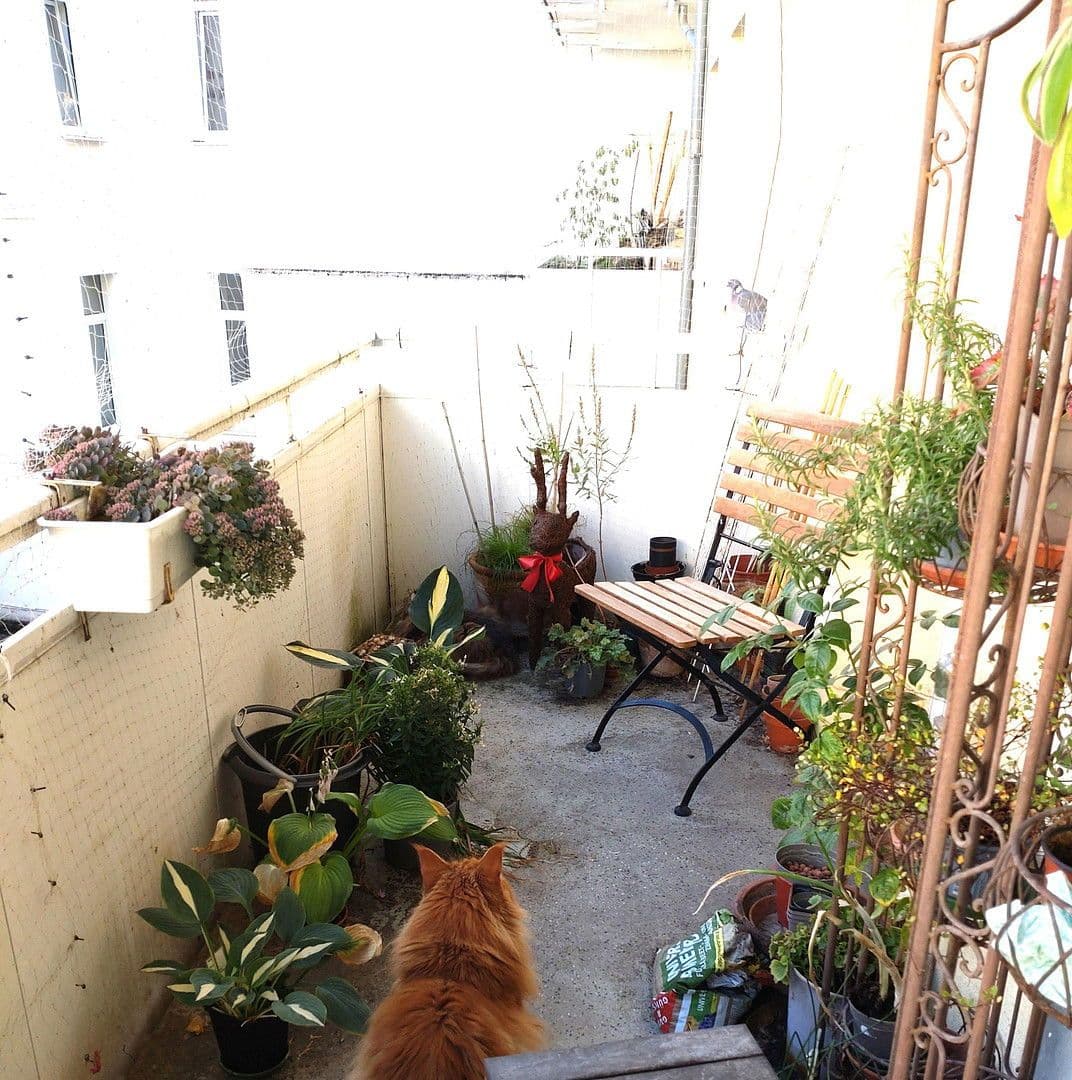 Prenájom bytu 2-izbový 66 m², Gretchenstr. 39b, Hannover, Dolné Sasko Prenájom bytu 2-izbový 66 m², Gretchenstr. 39b, Hannover, Dolné Sasko