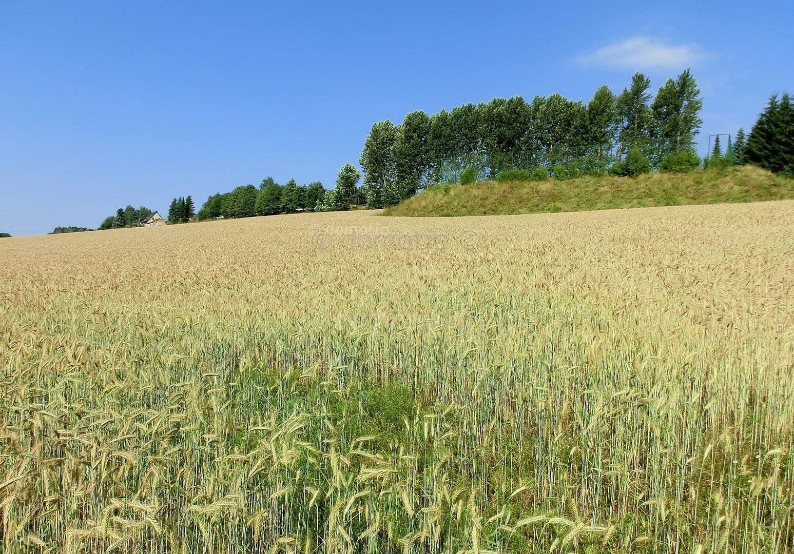 Prenájom bytu 2-izbový 51 m², Neubau 12, Elterlein, Sasko Prenájom bytu 2-izbový 51 m², Neubau 12, Elterlein, Sasko