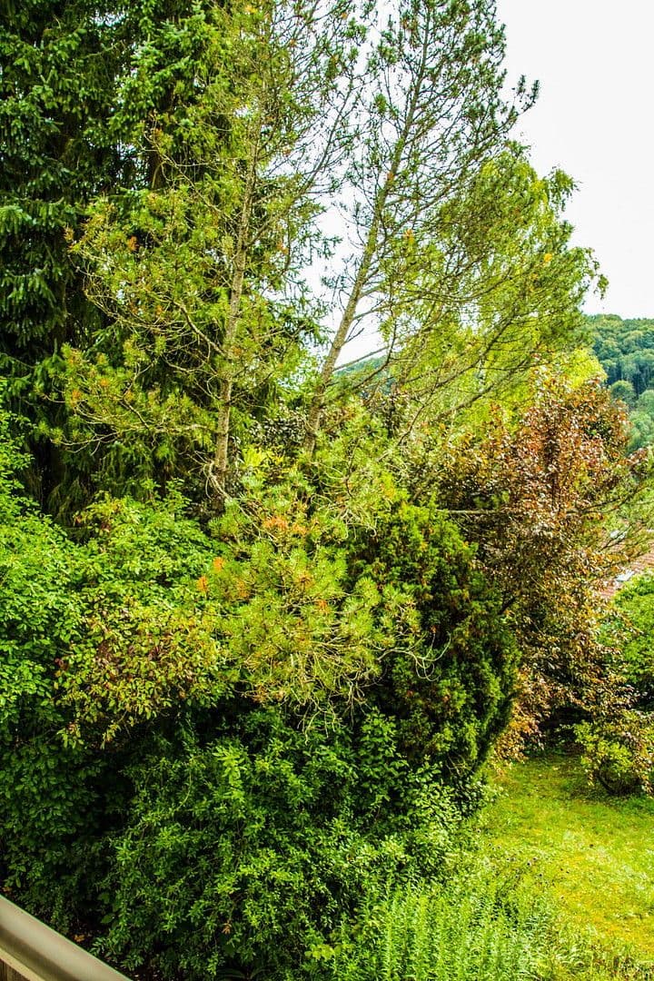 Predaj domu 302 m², pozemek 1.180 m², Nittendorf, Bavorsko Predaj domu 302 m², pozemek 1.180 m², Nittendorf, Bavorsko