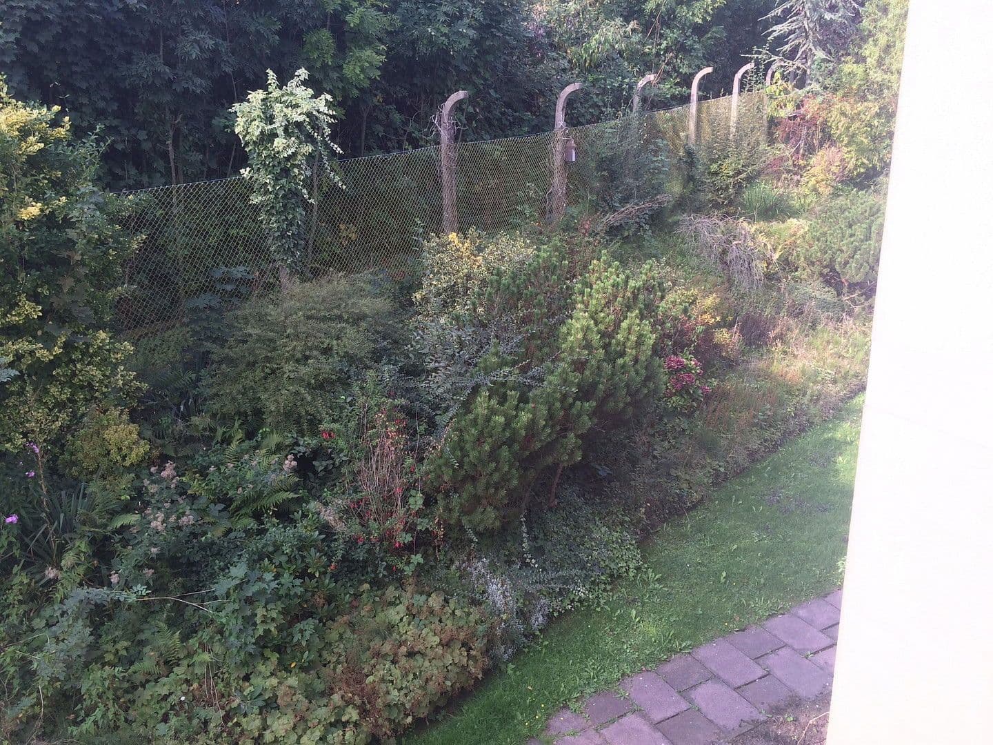 Prenájom bytu 1-izbový 45 m², Wuppertal, Severné Porýnie - Westfálsko Prenájom bytu 1-izbový 45 m², Wuppertal, Severné Porýnie - Westfálsko