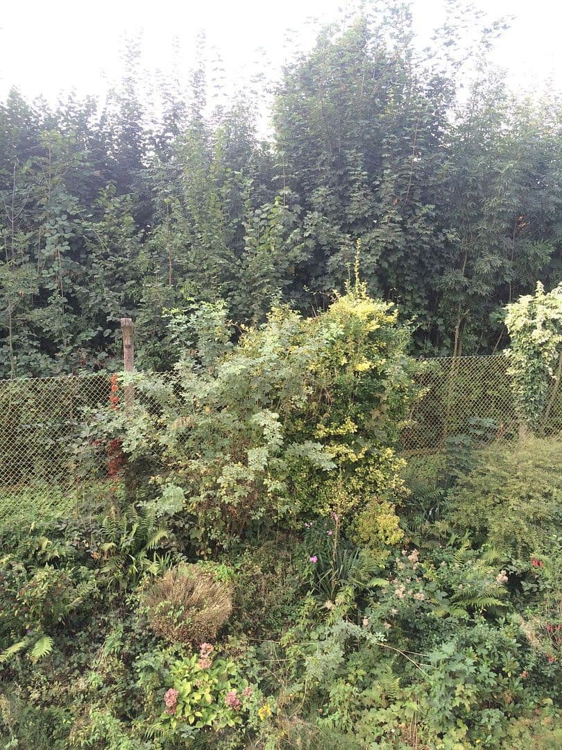 Prenájom bytu 1-izbový 45 m², Wuppertal, Severné Porýnie - Westfálsko Prenájom bytu 1-izbový 45 m², Wuppertal, Severné Porýnie - Westfálsko