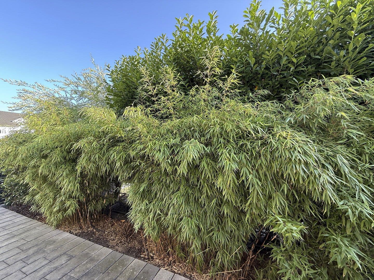 Predaj domu 220 m², pozemek 498 m², Kelsterbach, Hesensko Predaj domu 220 m², pozemek 498 m², Kelsterbach, Hesensko