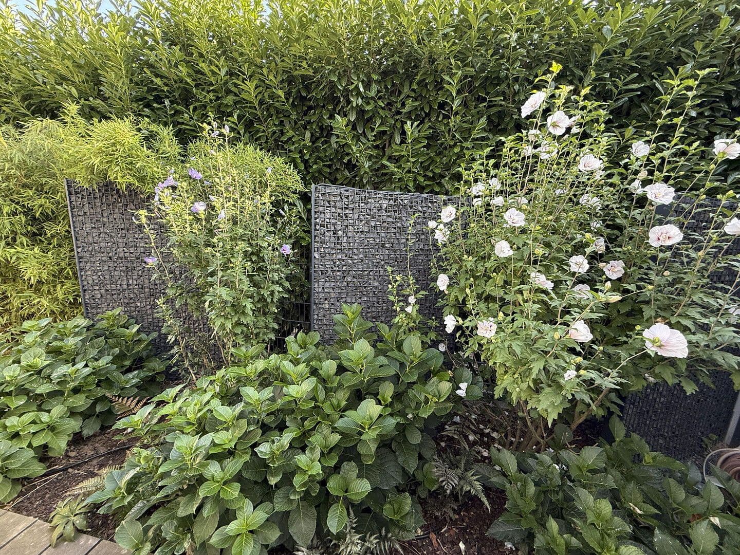 Predaj domu 220 m², pozemek 498 m², Kelsterbach, Hesensko Predaj domu 220 m², pozemek 498 m², Kelsterbach, Hesensko