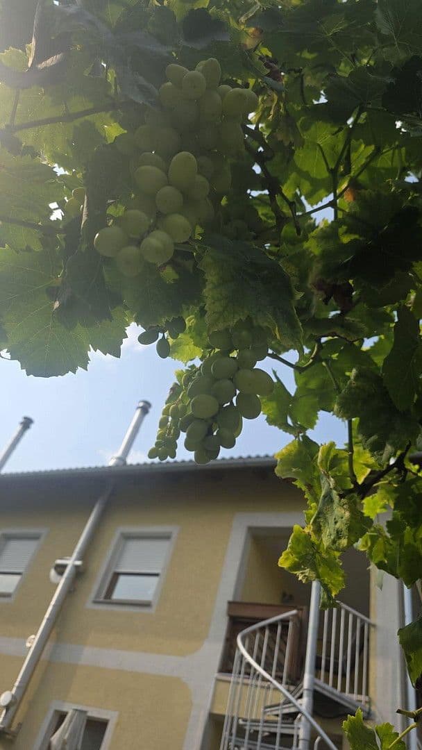 Predaj domu 202 m², pozemek 341 m², Pregarten, Horné Rakúsko Predaj domu 202 m², pozemek 341 m², Pregarten, Horné Rakúsko