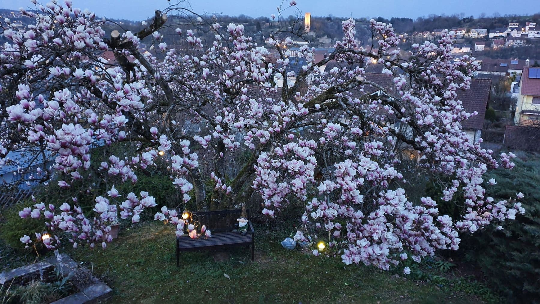 Predaj domu 292 m², pozemek 3.012 m², Herbolzheim, Bádensko-Wurttembersko Predaj domu 292 m², pozemek 3.012 m², Herbolzheim, Bádensko-Wurttembersko
