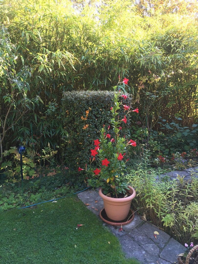 Predaj domu 365 m², pozemek 1.250 m², Saarbrücken, Sársko Predaj domu 365 m², pozemek 1.250 m², Saarbrücken, Sársko