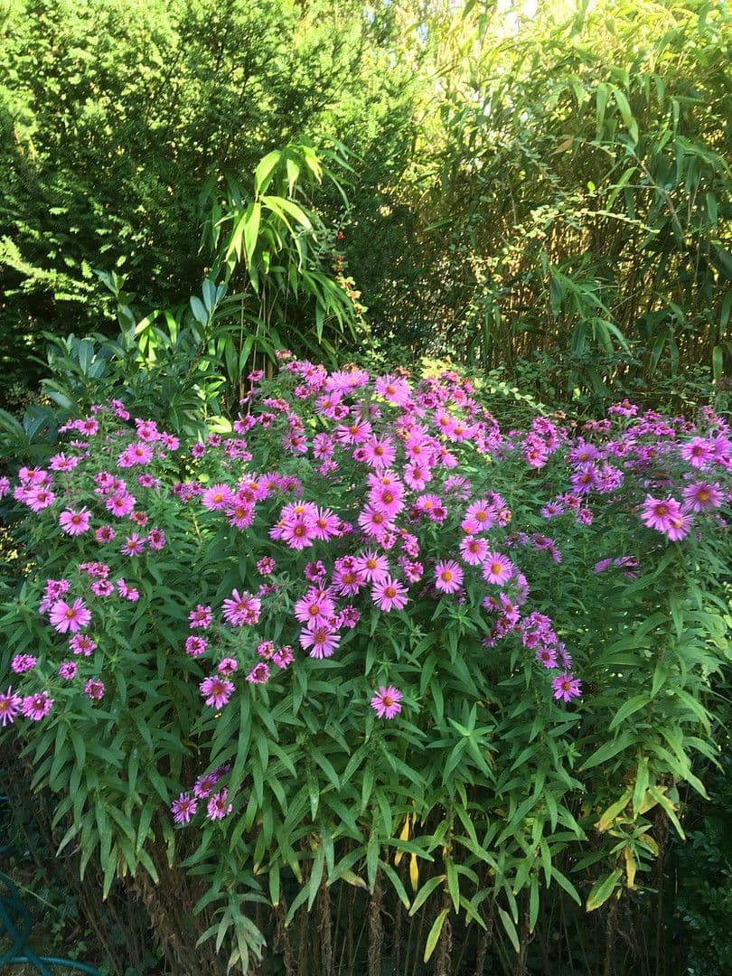 Predaj domu 365 m², pozemek 1.250 m², Saarbrücken, Sársko Predaj domu 365 m², pozemek 1.250 m², Saarbrücken, Sársko