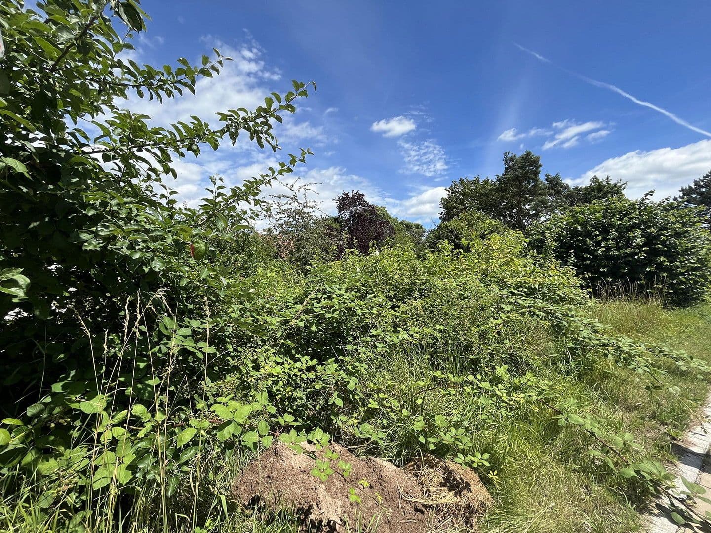 Predaj pozemku 918 m², Pfofeld, Bavorsko Predaj pozemku 918 m², Pfofeld, Bavorsko