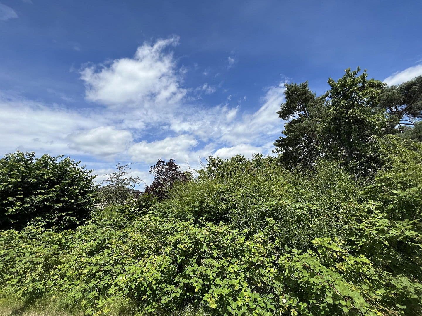 Predaj pozemku 918 m², Pfofeld, Bavorsko Predaj pozemku 918 m², Pfofeld, Bavorsko