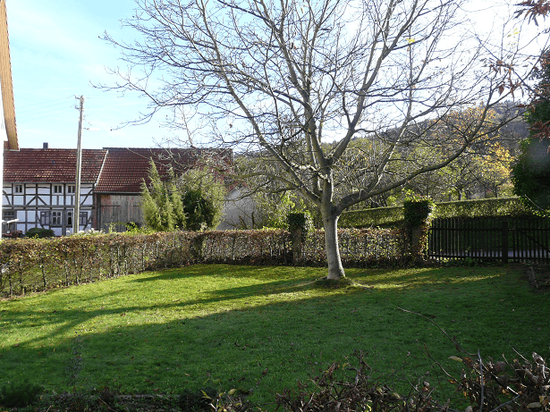 Prenájom domu 230 m², pozemek 3.500 m², Kombergstraße 16, Meißner, Hesensko Prenájom domu 230 m², pozemek 3.500 m², Kombergstraße 16, Meißner, Hesensko