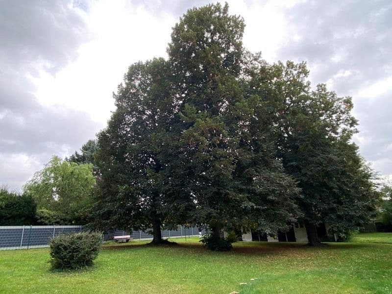 Predaj domu 900 m², pozemek 2.940 m², Weetzer Kirchweg 6, Ronnenberg, Dolné Sasko Predaj domu 900 m², pozemek 2.940 m², Weetzer Kirchweg 6, Ronnenberg, Dolné Sasko