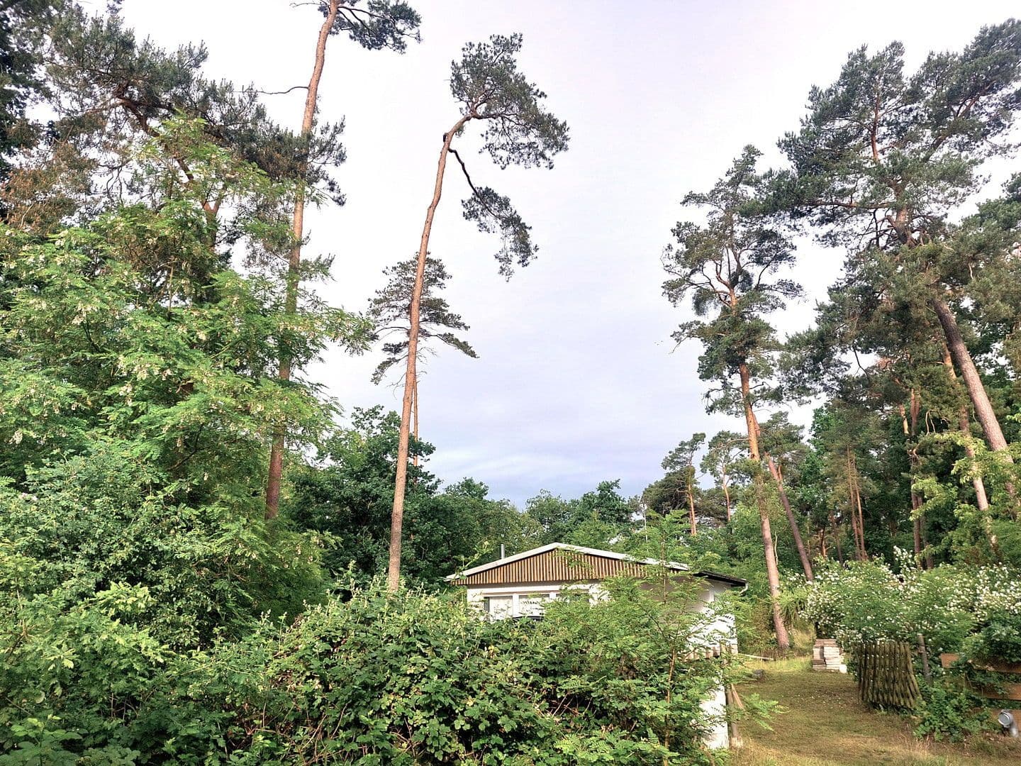 Predaj pozemku 6.217 m², Rathenow, Brandenbursko Predaj pozemku 6.217 m², Rathenow, Brandenbursko