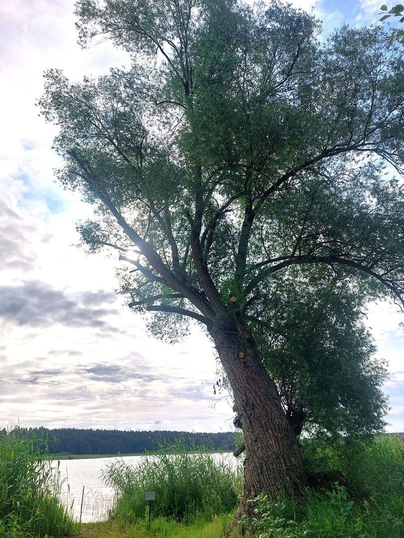 Predaj pozemku 6.217 m², Rathenow, Brandenbursko Predaj pozemku 6.217 m², Rathenow, Brandenbursko