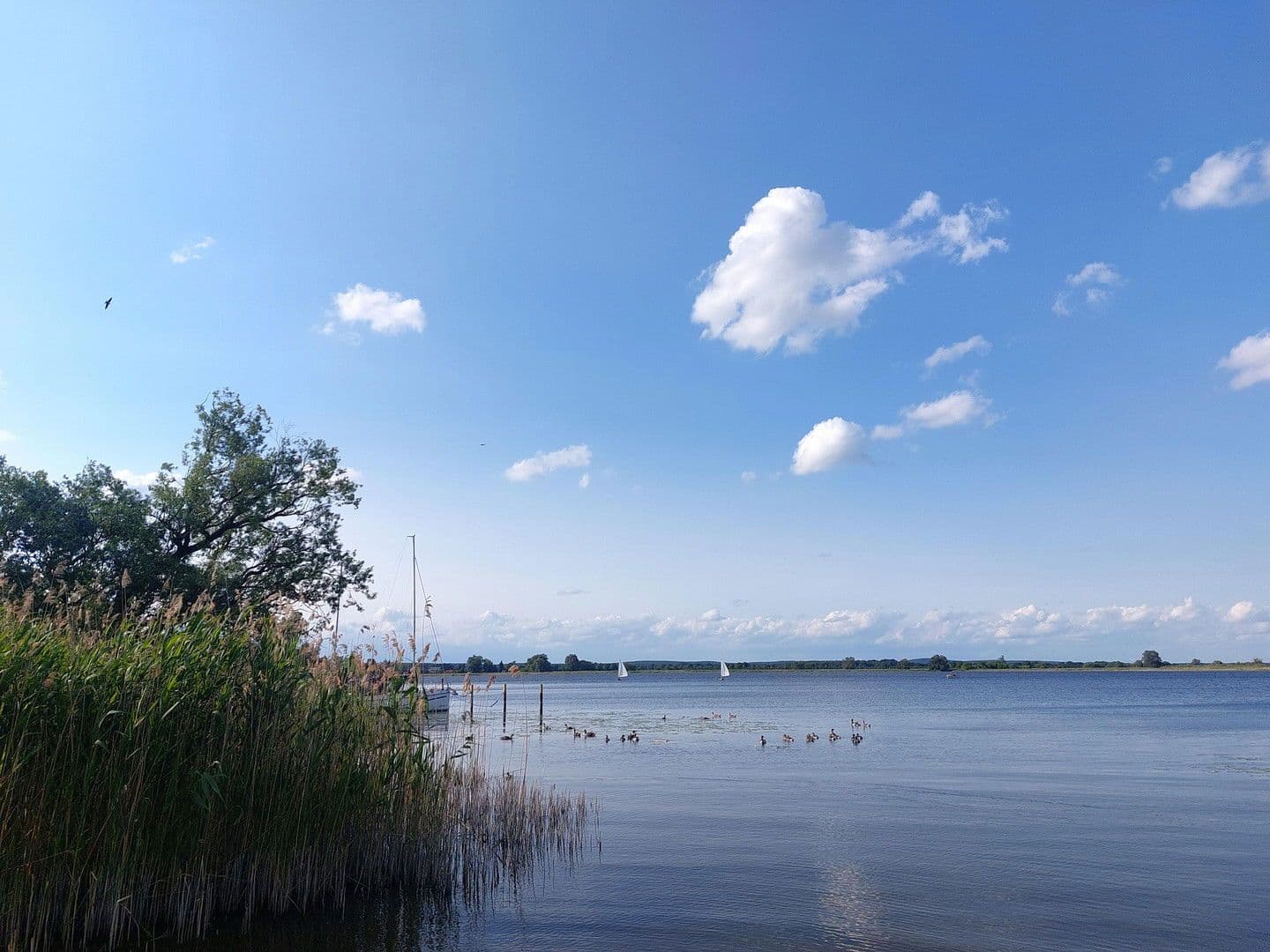 Predaj pozemku 6.217 m², Rathenow, Brandenbursko Predaj pozemku 6.217 m², Rathenow, Brandenbursko