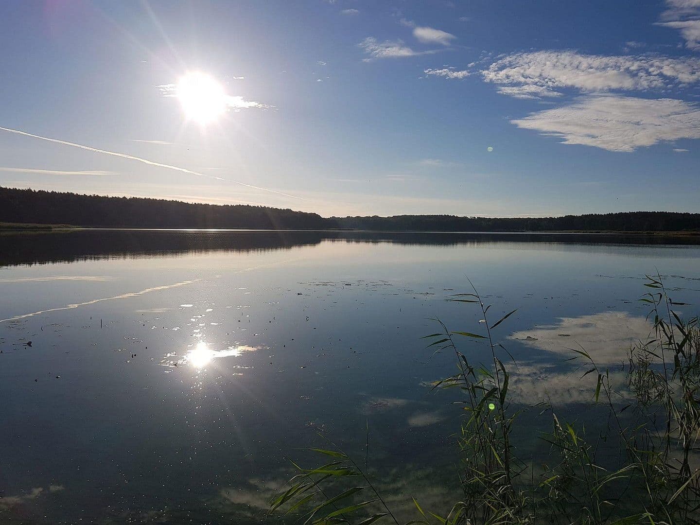 Predaj pozemku 6.217 m², Rathenow, Brandenbursko Predaj pozemku 6.217 m², Rathenow, Brandenbursko