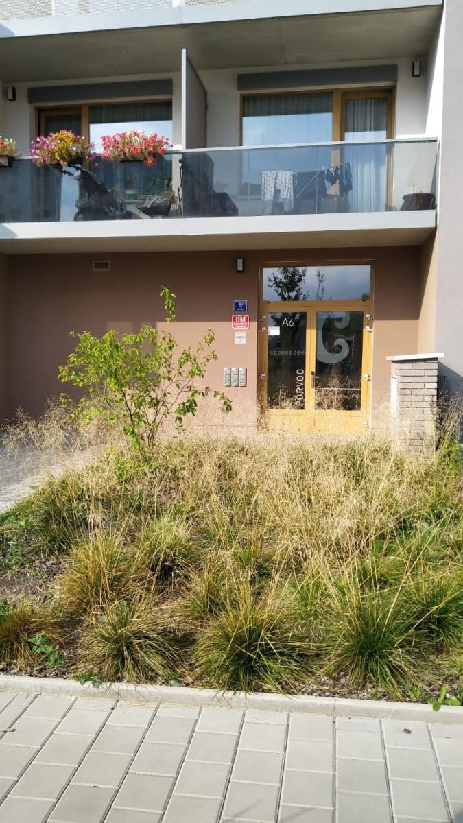 Prenájom bytu 1-izbový 34 m², Waltariho, Praha, Praha Prenájom bytu 1-izbový 34 m², Waltariho, Praha, Praha