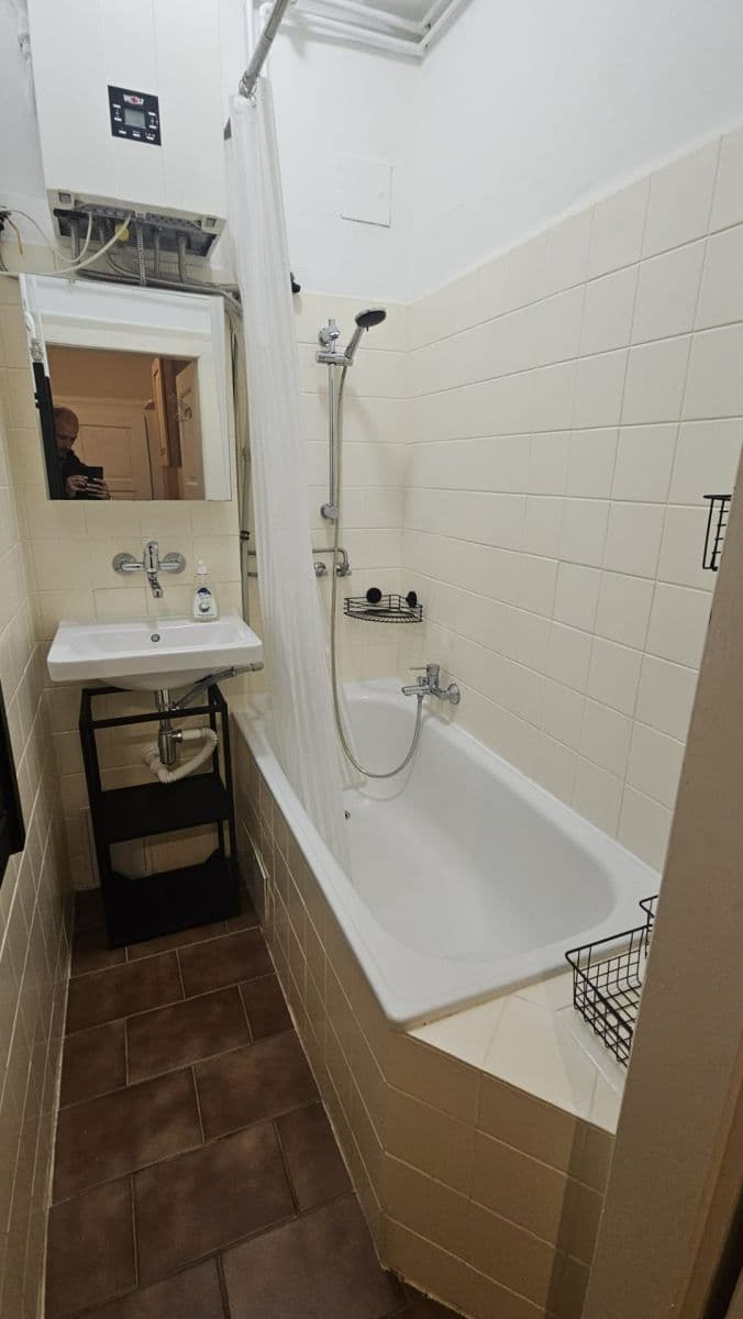 Prenájom bytu 2-izbový 51 m², Čechova, Plzeň, Plzeňský kraj Prenájom bytu 2-izbový 51 m², Čechova, Plzeň, Plzeňský kraj