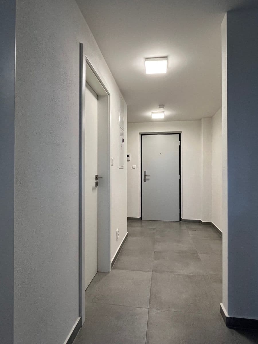 Prenájom bytu 2-izbový 55 m², Papírnická, Plzeň, Plzeňský kraj Prenájom bytu 2-izbový 55 m², Papírnická, Plzeň, Plzeňský kraj