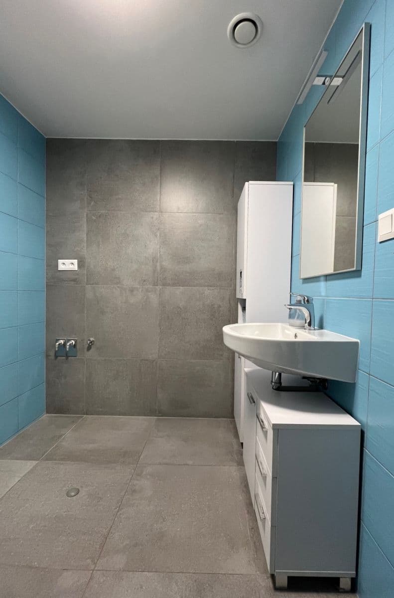 Prenájom bytu 2-izbový 55 m², Papírnická, Plzeň, Plzeňský kraj Prenájom bytu 2-izbový 55 m², Papírnická, Plzeň, Plzeňský kraj