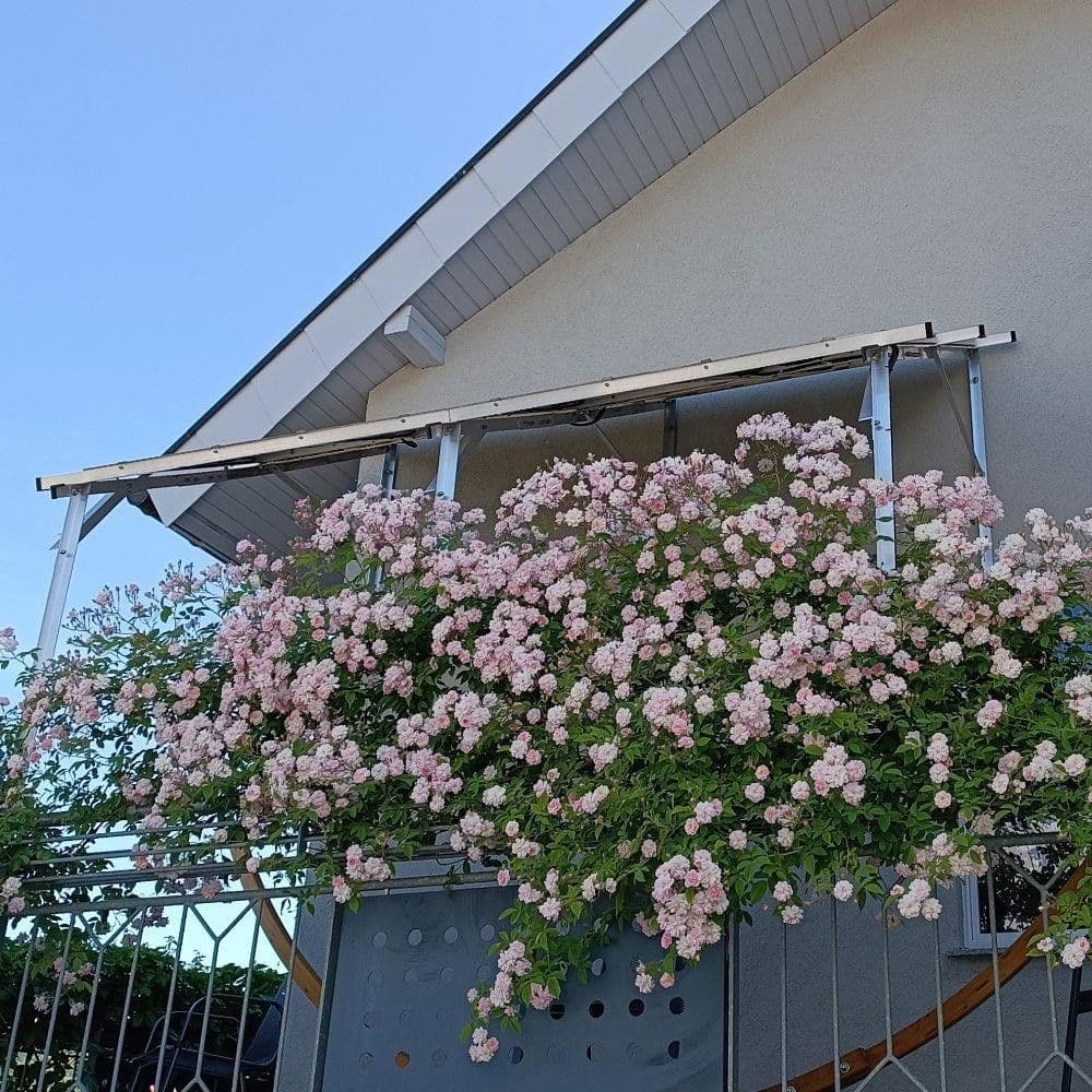 Predaj domu 173 m², pozemek 374 m², Ihringen, Bádensko-Wurttembersko Predaj domu 173 m², pozemek 374 m², Ihringen, Bádensko-Wurttembersko