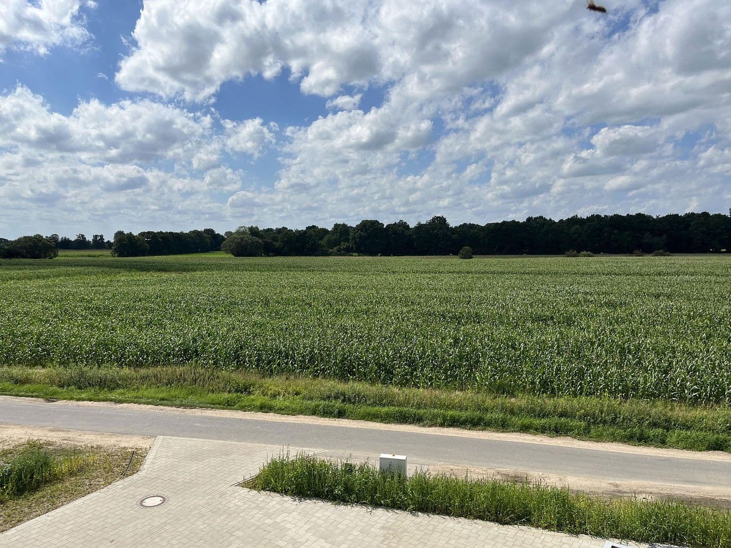 Prenájom domu 134 m², pozemek 750 m², Krümser Str. 99 b, Drage, Dolné Sasko Prenájom domu 134 m², pozemek 750 m², Krümser Str. 99 b, Drage, Dolné Sasko