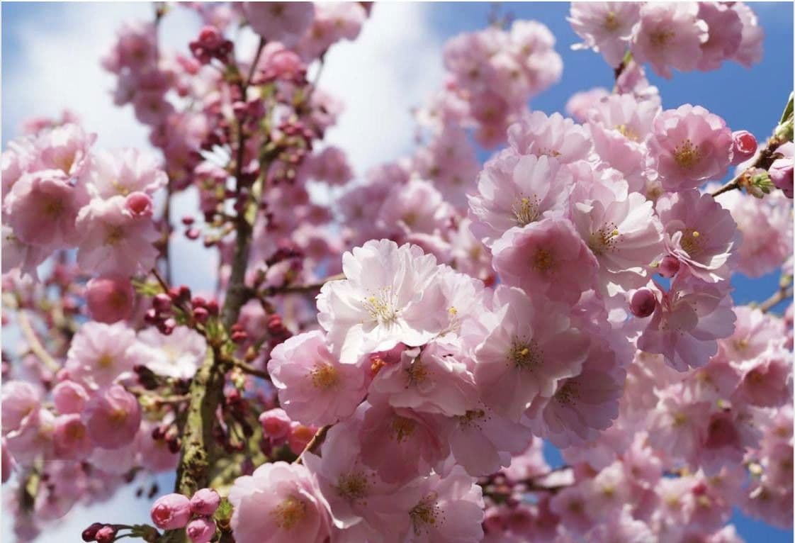 Prenájom domu 130 m², pozemek 359 m², München, Bavorsko Prenájom domu 130 m², pozemek 359 m², München, Bavorsko