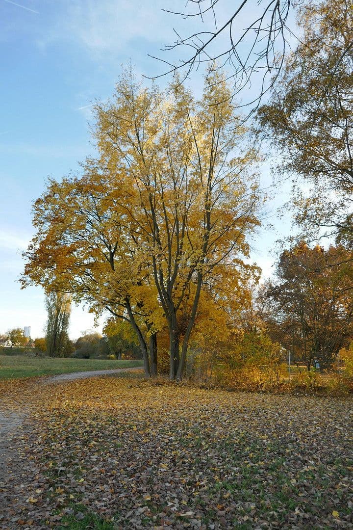 Predaj bytu 2-izbový 62 m², Helmut-Lederer-Str. 48, Erlangen, Bavorsko Predaj bytu 2-izbový 62 m², Helmut-Lederer-Str. 48, Erlangen, Bavorsko