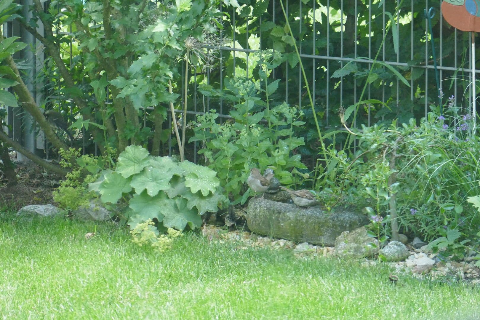 Predaj bytu 2-izbový 62 m², Helmut-Lederer-Str. 48, Erlangen, Bavorsko Predaj bytu 2-izbový 62 m², Helmut-Lederer-Str. 48, Erlangen, Bavorsko