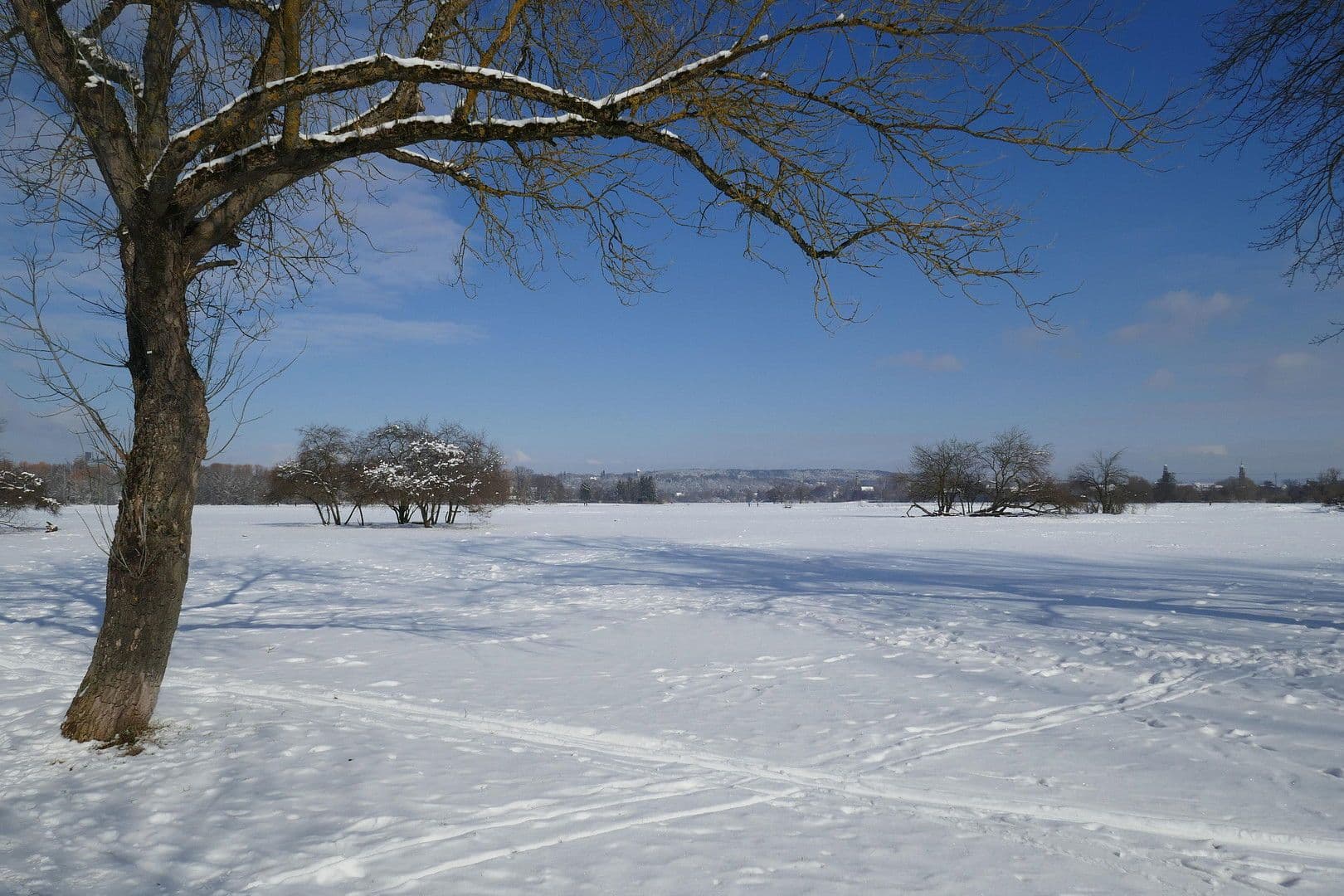 Predaj bytu 2-izbový 62 m², Helmut-Lederer-Str. 48, Erlangen, Bavorsko Predaj bytu 2-izbový 62 m², Helmut-Lederer-Str. 48, Erlangen, Bavorsko