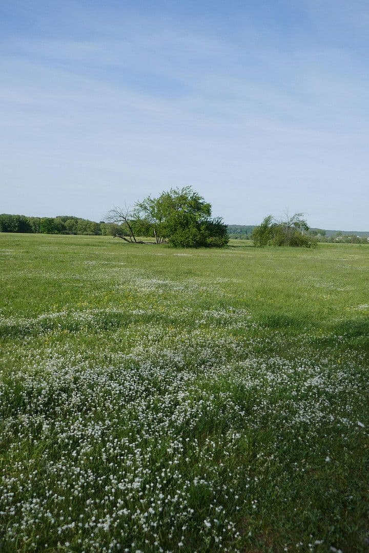 Predaj bytu 2-izbový 62 m², Helmut-Lederer-Str. 48, Erlangen, Bavorsko Predaj bytu 2-izbový 62 m², Helmut-Lederer-Str. 48, Erlangen, Bavorsko