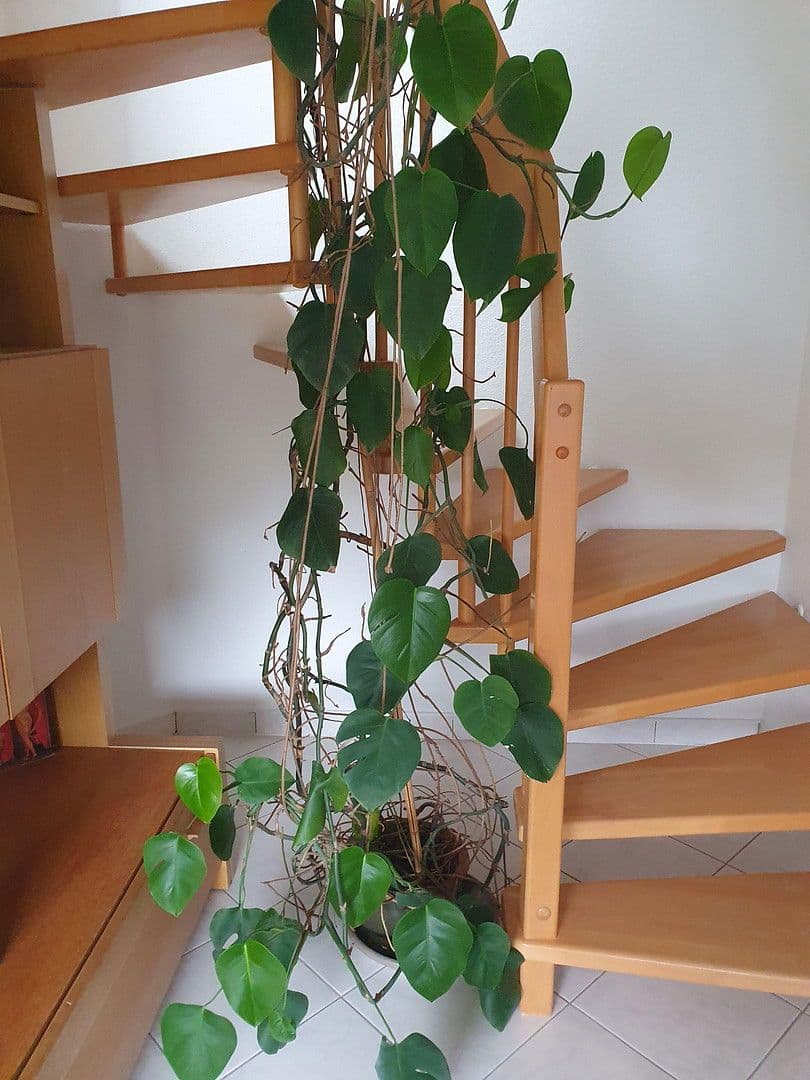 Predaj bytu 4-izbový 100 m², Bad Herrenalb, Bádensko-Wurttembersko Predaj bytu 4-izbový 100 m², Bad Herrenalb, Bádensko-Wurttembersko