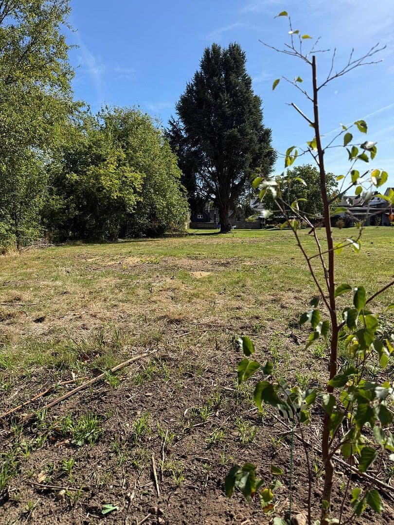 Predaj domu 145 m², pozemek 1.605 m², Bornheim, Severné Porýnie - Westfálsko Predaj domu 145 m², pozemek 1.605 m², Bornheim, Severné Porýnie - Westfálsko