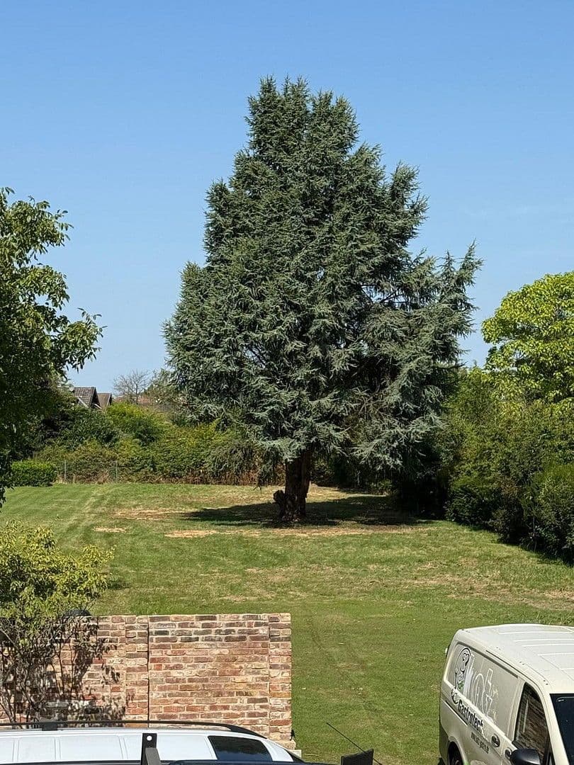 Predaj domu 145 m², pozemek 1.605 m², Bornheim, Severné Porýnie - Westfálsko Predaj domu 145 m², pozemek 1.605 m², Bornheim, Severné Porýnie - Westfálsko