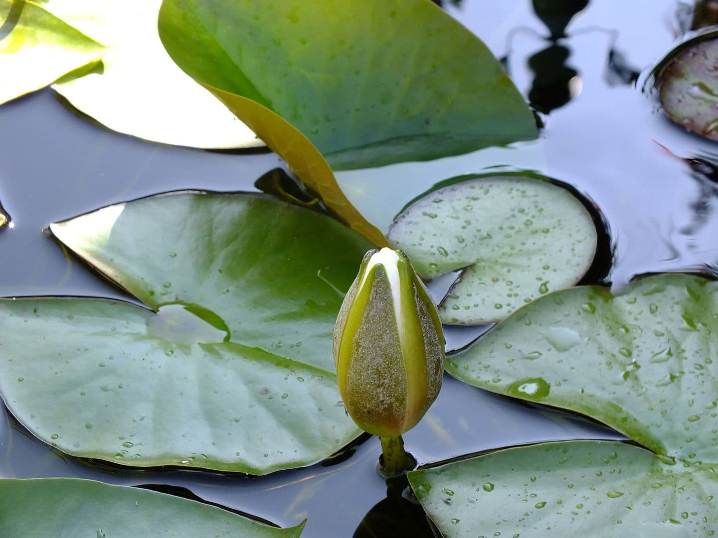 Predaj domu 110 m², pozemek 763 m², Nordhalben, Bavorsko Predaj domu 110 m², pozemek 763 m², Nordhalben, Bavorsko