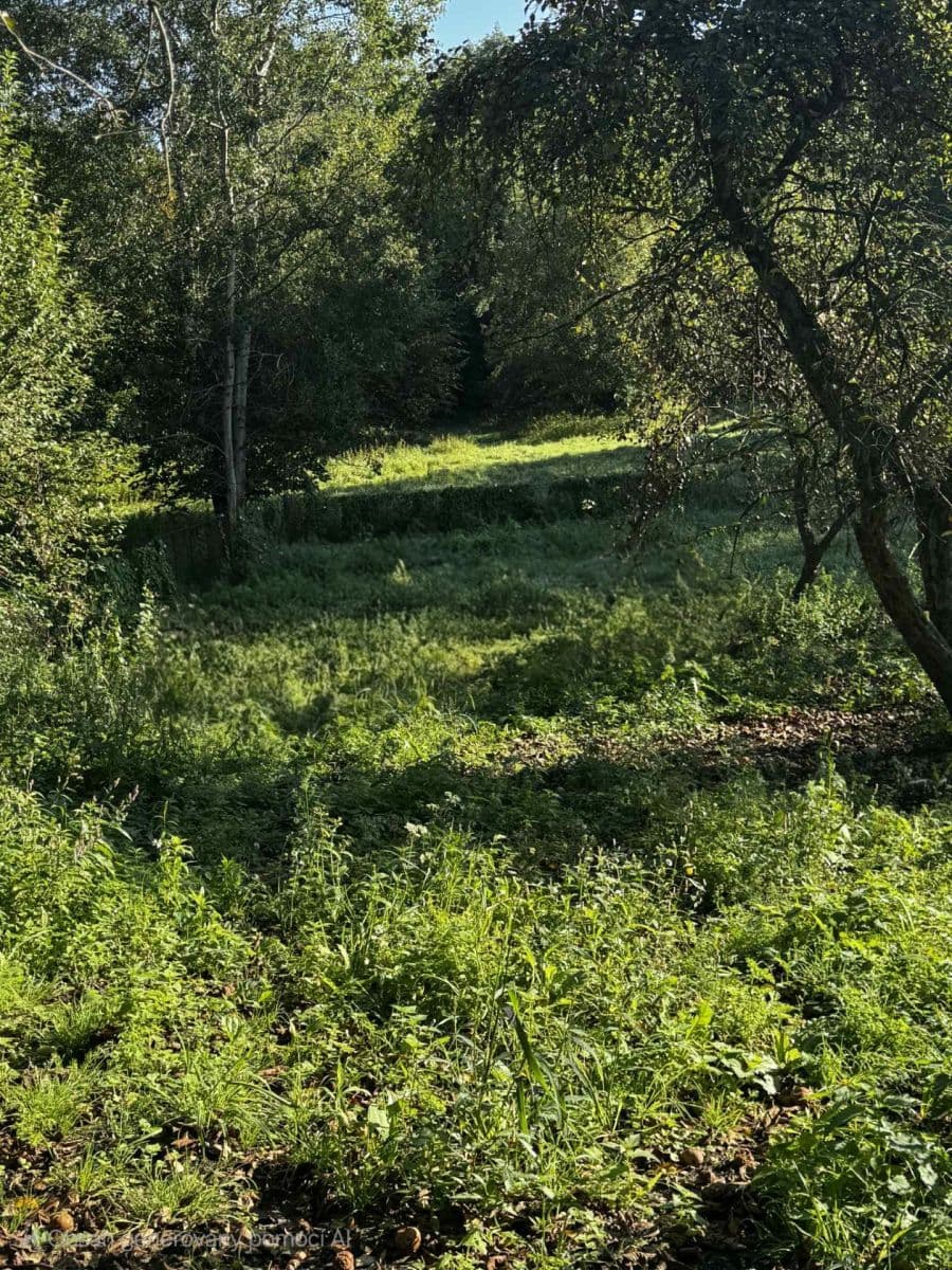 Predaj domu 185 m², pozemek 3.902 m², Stará, Havířov, Moravskoslezský kraj Predaj domu 185 m², pozemek 3.902 m², Stará, Havířov, Moravskoslezský kraj