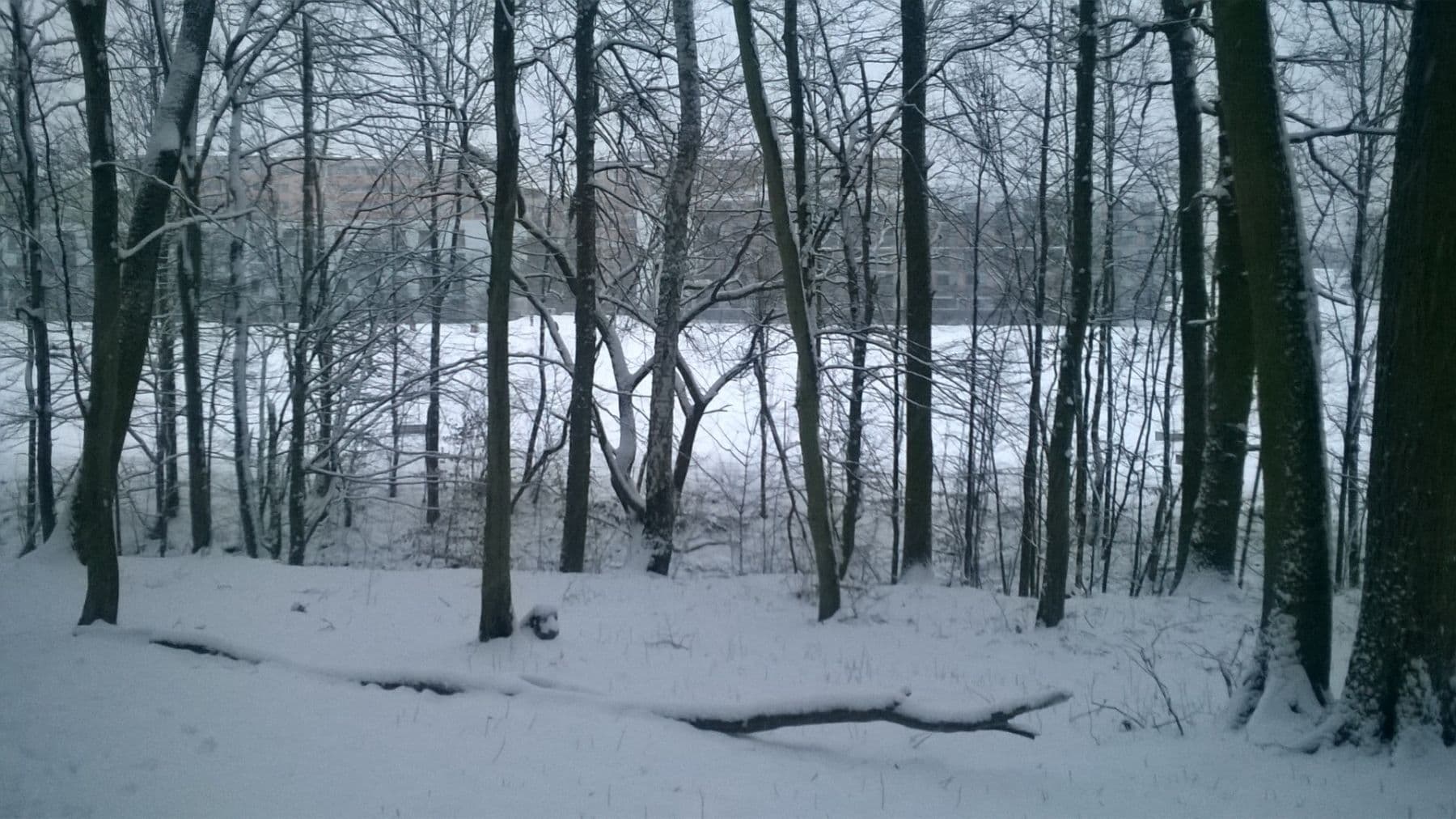 Predaj bytu 4-izbový 115 m², Vrbovecká, Brno, Jihomoravský kraj Predaj bytu 4-izbový 115 m², Vrbovecká, Brno, Jihomoravský kraj