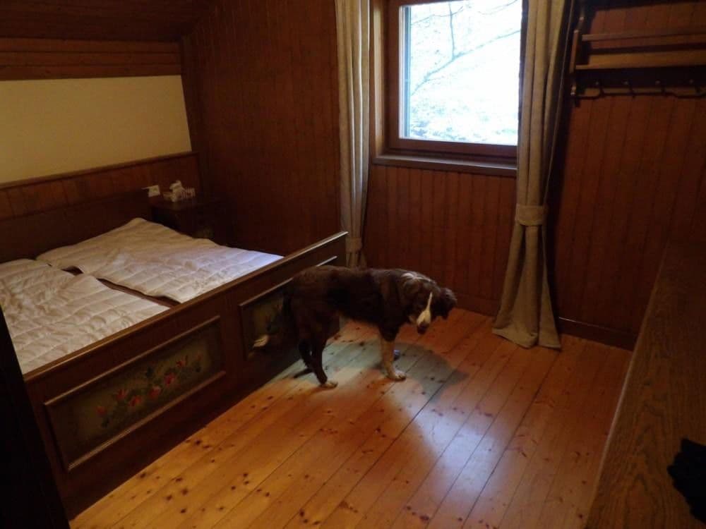 Predaj domu 107 m², pozemek 300 m², Stanz im Mürztal, Štajersko Predaj domu 107 m², pozemek 300 m², Stanz im Mürztal, Štajersko