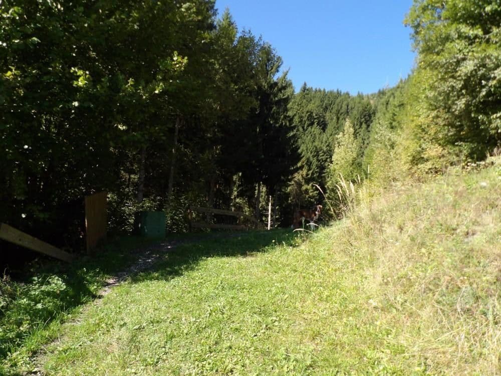 Predaj domu 107 m², pozemek 300 m², Stanz im Mürztal, Štajersko Predaj domu 107 m², pozemek 300 m², Stanz im Mürztal, Štajersko