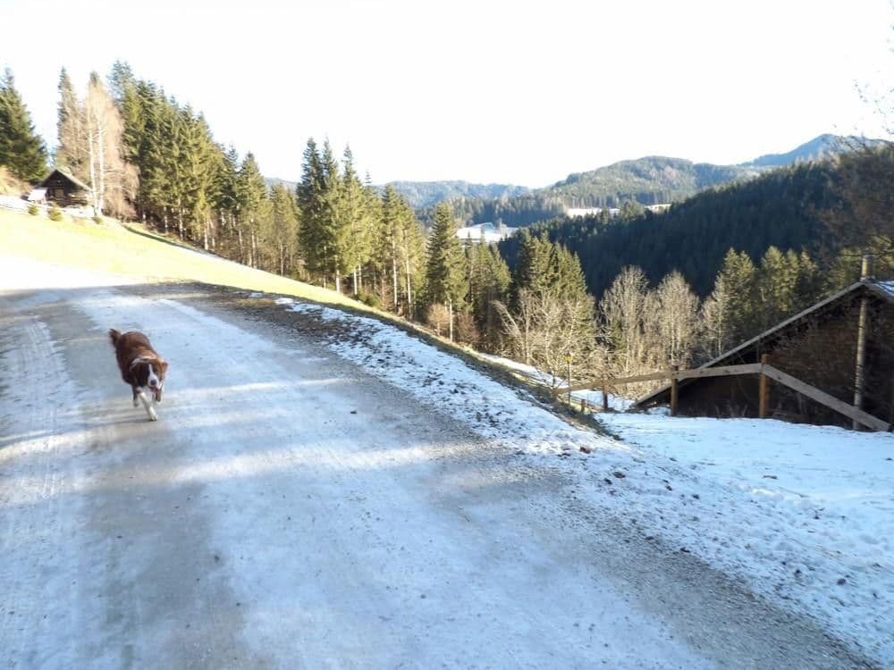 Predaj domu 107 m², pozemek 300 m², Stanz im Mürztal, Štajersko Predaj domu 107 m², pozemek 300 m², Stanz im Mürztal, Štajersko