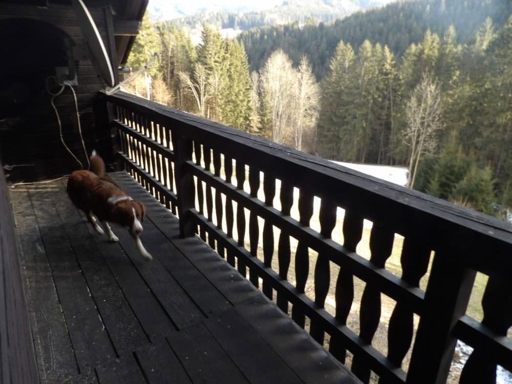 Predaj domu 107 m², pozemek 300 m², Stanz im Mürztal, Štajersko Predaj domu 107 m², pozemek 300 m², Stanz im Mürztal, Štajersko