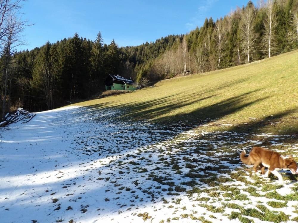 Predaj domu 107 m², pozemek 300 m², Stanz im Mürztal, Štajersko Predaj domu 107 m², pozemek 300 m², Stanz im Mürztal, Štajersko