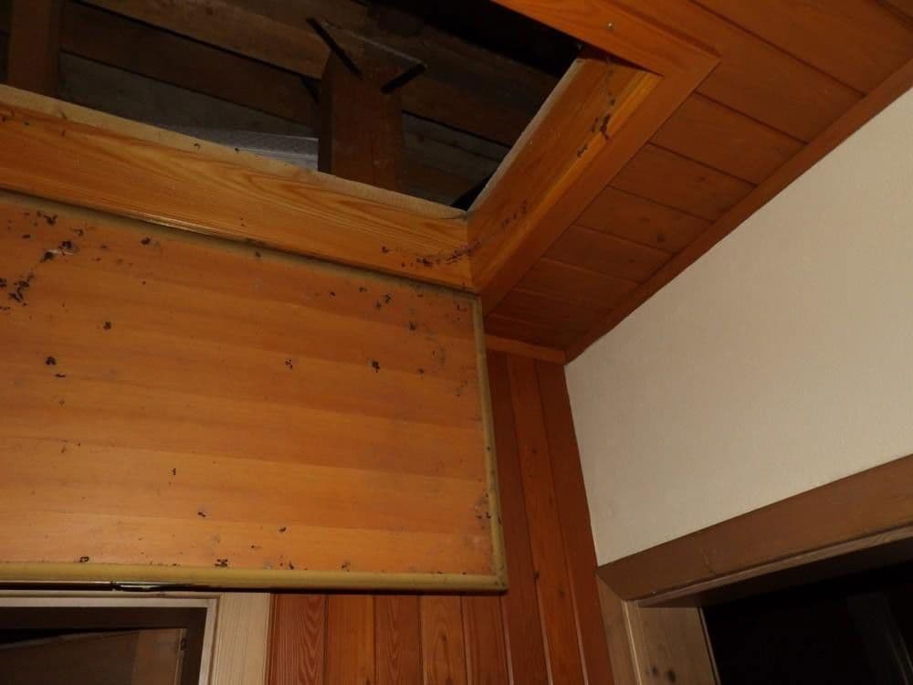 Predaj domu 107 m², pozemek 300 m², Stanz im Mürztal, Štajersko Predaj domu 107 m², pozemek 300 m², Stanz im Mürztal, Štajersko